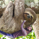Image for article titled Jared Leto Instagrams Himself Hugging A Tree, Internet Responds